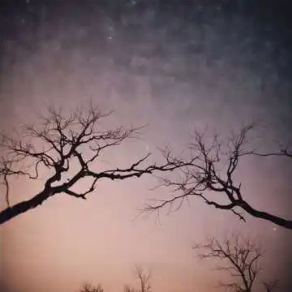 如果有来生 (伤感版)