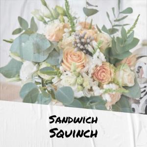 Album Sandwich Squinch oleh Various