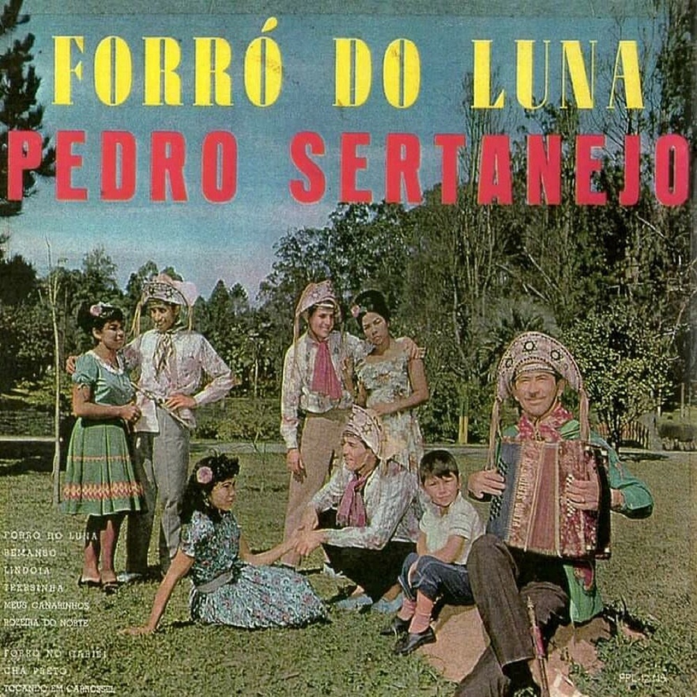 Floresta do Navio