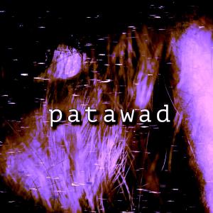 NRI的專輯patawad