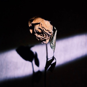 收聽PPlin 林芃逸的擦肩而過歌詞歌曲