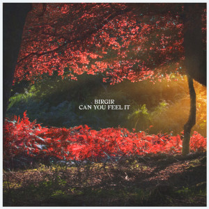 ดาวน์โหลดและฟังเพลง Can You Feel It พร้อมเนื้อเพลงจาก Birgir
