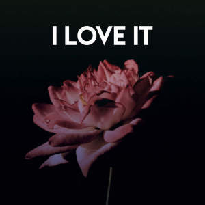 Listen to I Love It song with lyrics from CDM Project