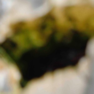 Mercedes Nasta的专辑Jardín de Planetas