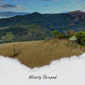 อัลบัม Miserly Shinpad ศิลปิน Various