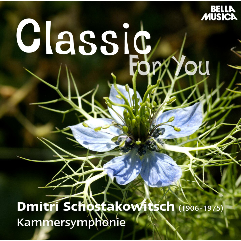 Konzert für Klavier, Trompete und Streicher in C Minor, Op. 35, No. 1: IV. Allegro con brio