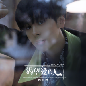 收聽魏哲鳴的渴望愛的人歌詞歌曲