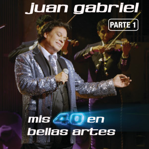 收聽Juan Gabriel的La Diferencia (En Vivo Desde Bellas Artes, México/ 2013)歌詞歌曲