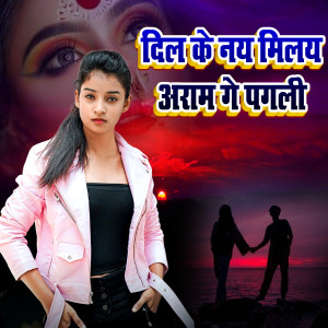 Album Dil Ke Nay Milay Aram Ge Pagali from 