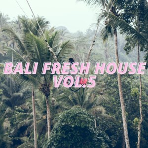 Various Artists的專輯Bali Fresh House Vol.5