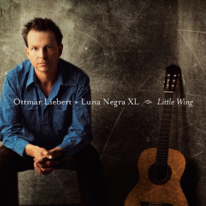 ดาวน์โหลดและฟังเพลง Paint It Black พร้อมเนื้อเพลงจาก Ottmar Liebert + Luna Negra XL