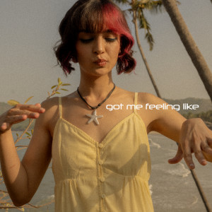 Listen to Got Me Feeling Like song with lyrics from My Zudio