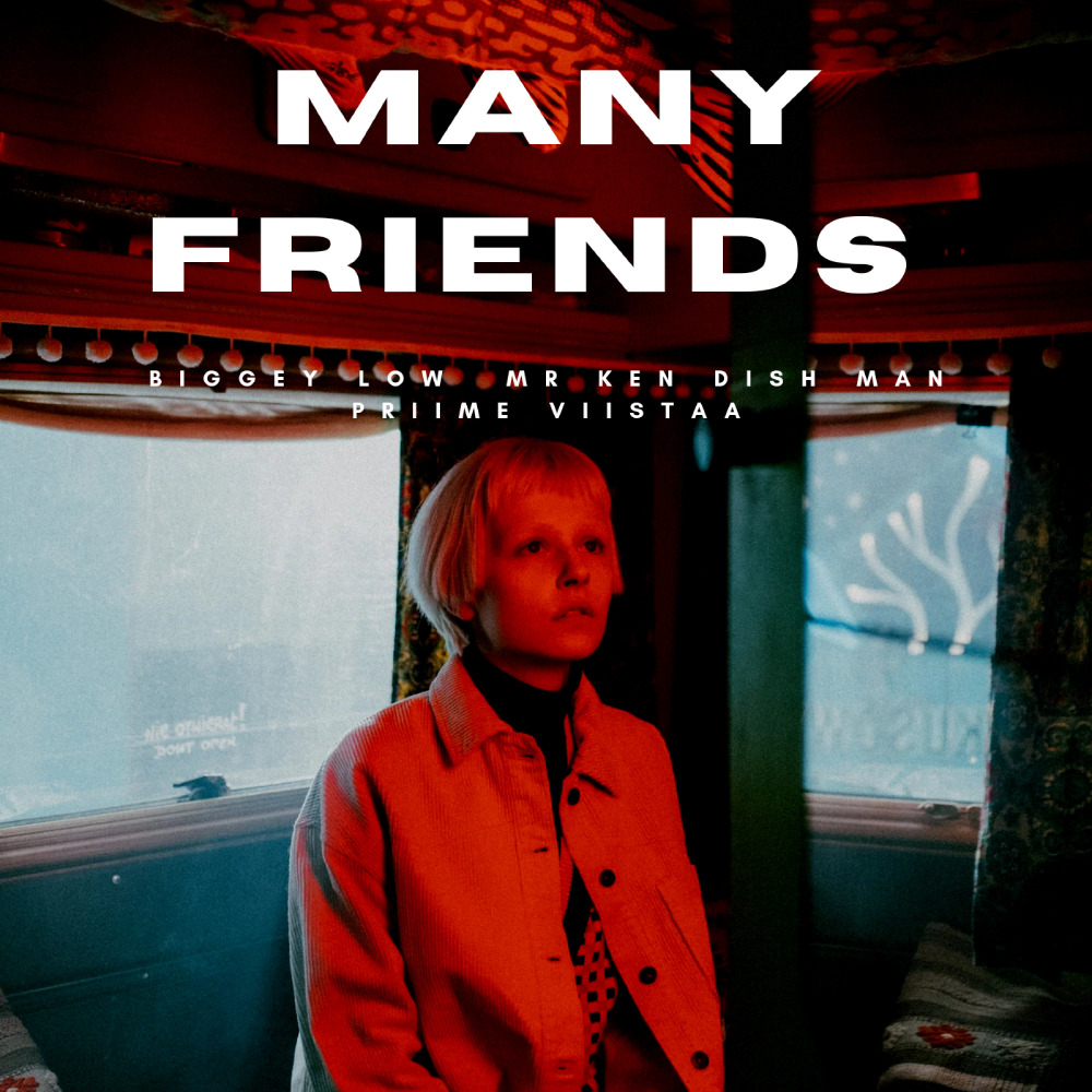 Many Friends