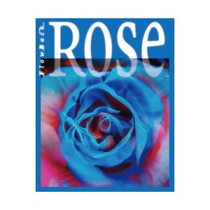 FlowBack的專輯Rose