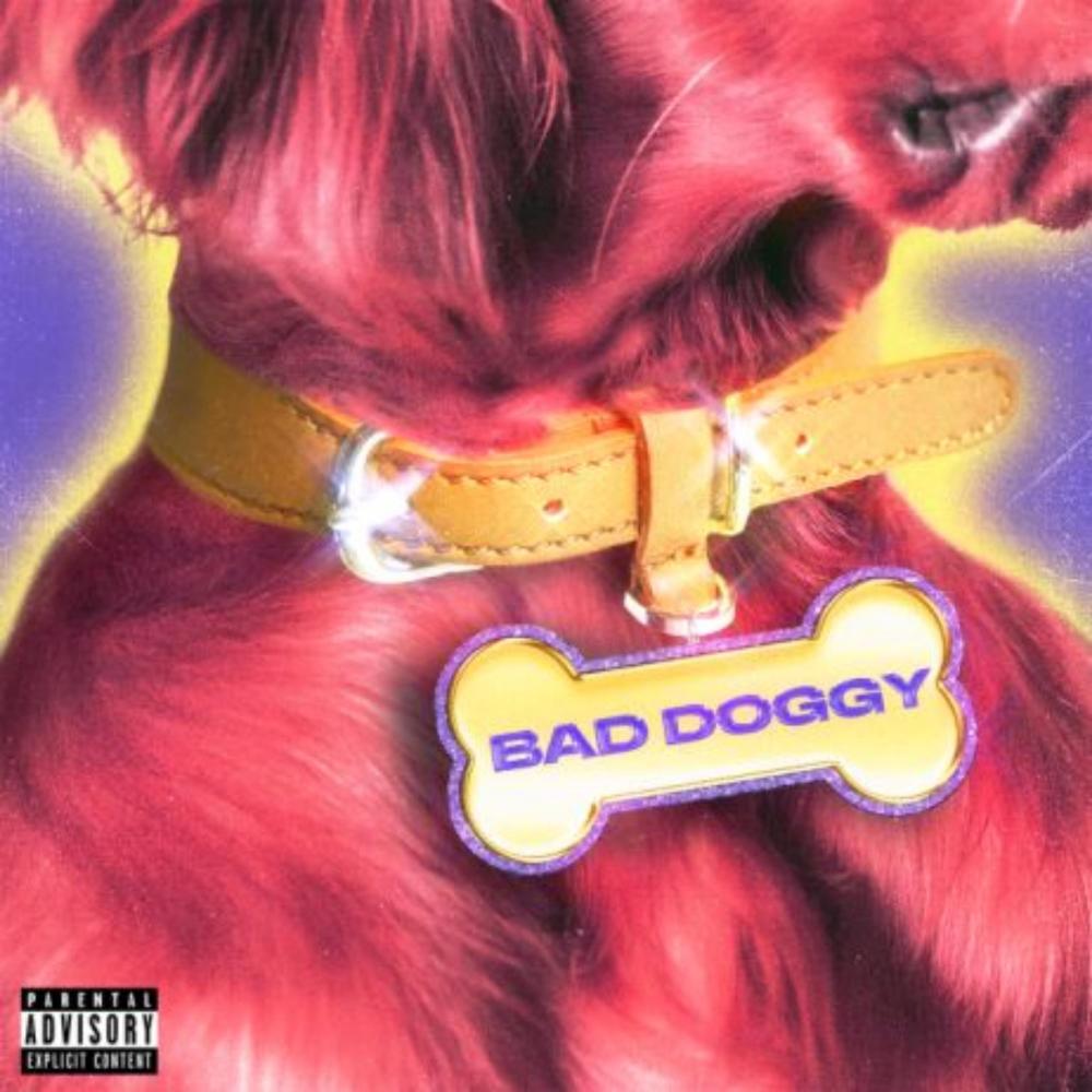 Bad Doggy (feat. Liz Anya) (Explicit)