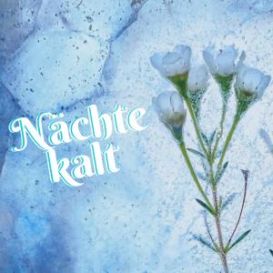 Lushes的專輯Nächte Kalt (Explicit)