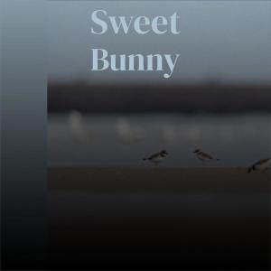 Various的专辑Sweet Bunny