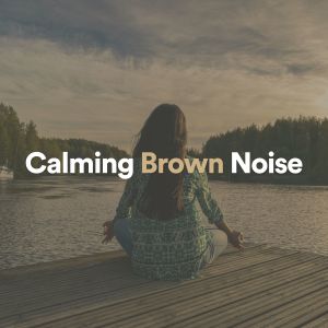 收聽Brown Noise的Brown Noise, Pt. 1歌詞歌曲
