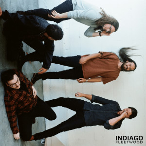Listen to Fleetwood song with lyrics from Indiago