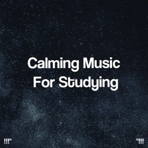 !!!" Calming Music For Studying "!!!