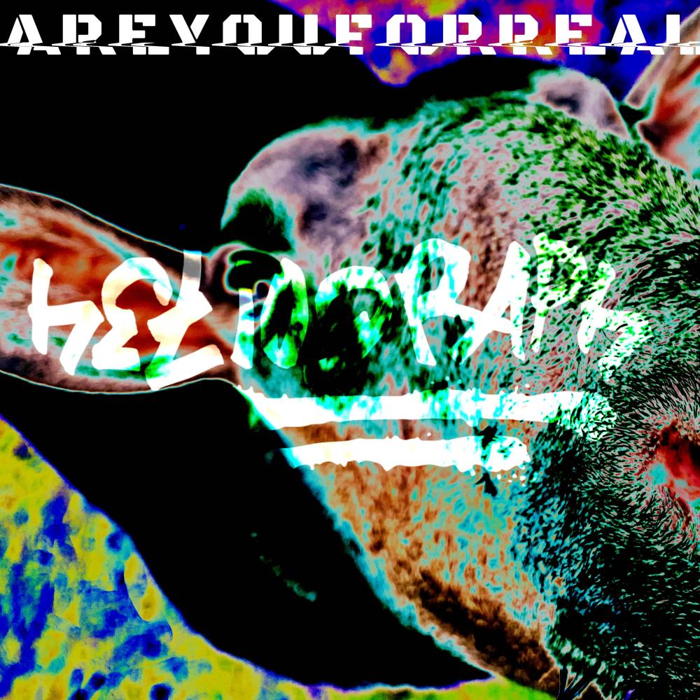 AREYOUFORREAL