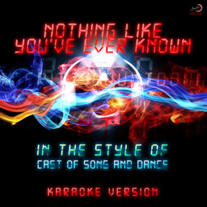 收聽Ameritz Countdown Karaoke的Nothing Like You've Ever Known (In the Style Of Cast,(St Song and Dance) ) [Karaoke Version] (Karaoke Version)歌詞歌曲