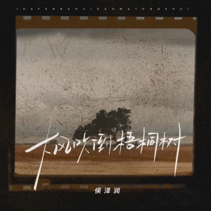 Album 大风吹倒梧桐树（DJ靖博 Remix 2K25弹） from 侯泽润