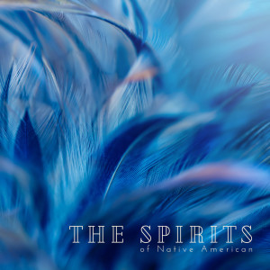 Listen to Sleep Hypnosis song with lyrics from Native American Music Consort
