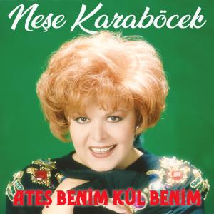 ดาวน์โหลดและฟังเพลง Ne Sisler Ne Fırtınalar พร้อมเนื้อเพลงจาก Neşe Karaböcek