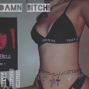 收聽PeaXIII的Damn Bitch (feat. Slevpy808 & Sxstemic) (Explicit)歌詞歌曲