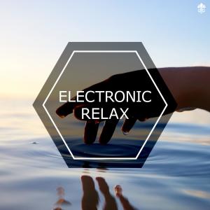 Maidden的专辑Electronic Relax