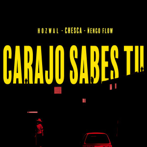 Album Carajo Sabes Tu (Explicit) from Nengo Flow