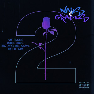 Album Nays & Grapes 2 (Explicit) from Big Moochie Grape