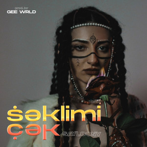 Listen to Şəklimi Çək (Explicit) song with lyrics from Sayloony