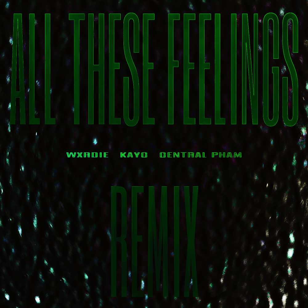 All These Feelings Remix (Explicit)