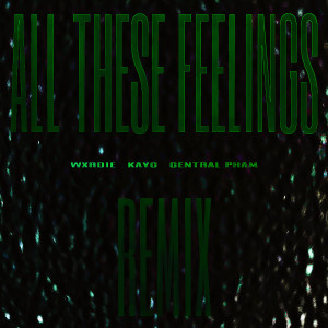 Listen to All These Feelings Remix (Explicit) song with lyrics from 420ent.