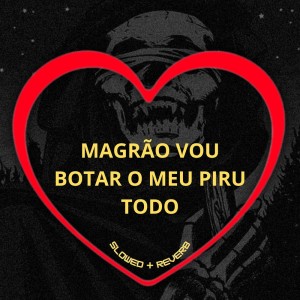 Album Magrão Vou Botar o Meu Piru Todo (Slowed + Reverb) (Explicit) from Love Fluxos