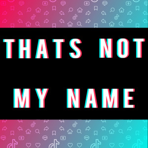 Stereo Avenue的专辑That's Not My Name (TikTok Viral)