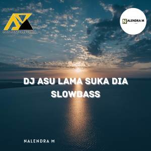 Album DJ Asu Lama Suka Dia Bass oleh NALENDRA M