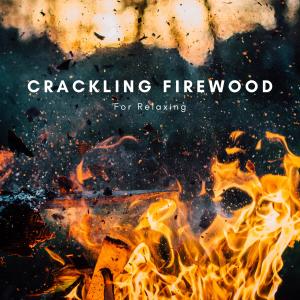 Natural Sounds Selections的專輯Crackling Firewood For Relaxing
