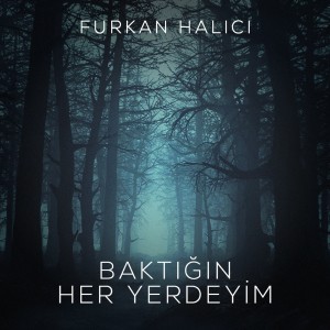 ดาวน์โหลดและฟังเพลง Baktığın Her Yerdeyim พร้อมเนื้อเพลงจาก Furkan Halıcı