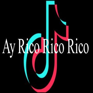 ดาวน์โหลดและฟังเพลง Ay Rico Rico Rico พร้อมเนื้อเพลงจาก Para Bailar Y Divertirte