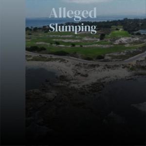 อัลบัม Alleged Slumping ศิลปิน Various Artists