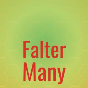 Various Artists的專輯Falter Many