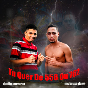 收聽Danilo Perverso的Tu Quer de 556 ou 762歌詞歌曲