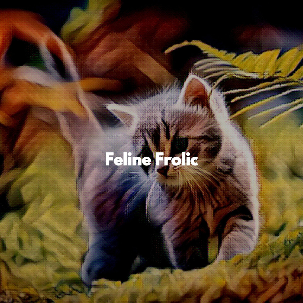 Fabulous Ambiance for Quiet Cat