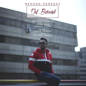 Listen to Del Beband song with lyrics from Behzad Parsaee