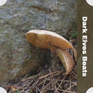 Dengarkan Christmas Wrapping lagu dari Waitresses dengan lirik