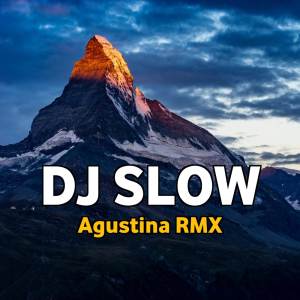 Agustina RMX的專輯DJ SLOW - Sia Sia Mengharap Cintamu