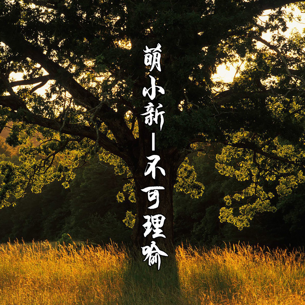 不可理喻